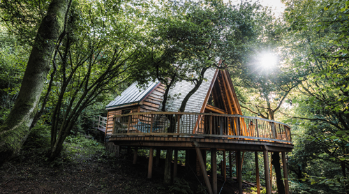 Escape the Everyday - Stay in the trees in the Forest of Dean and Wye Valley